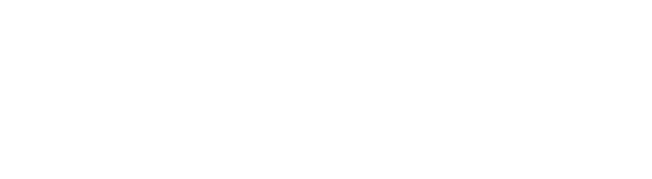 Akon Ascensores
